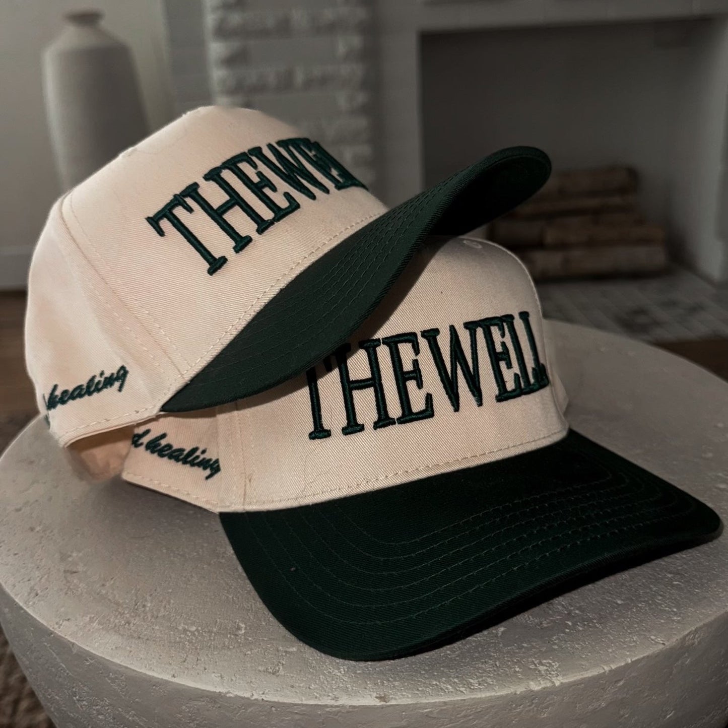 The Well Snapback