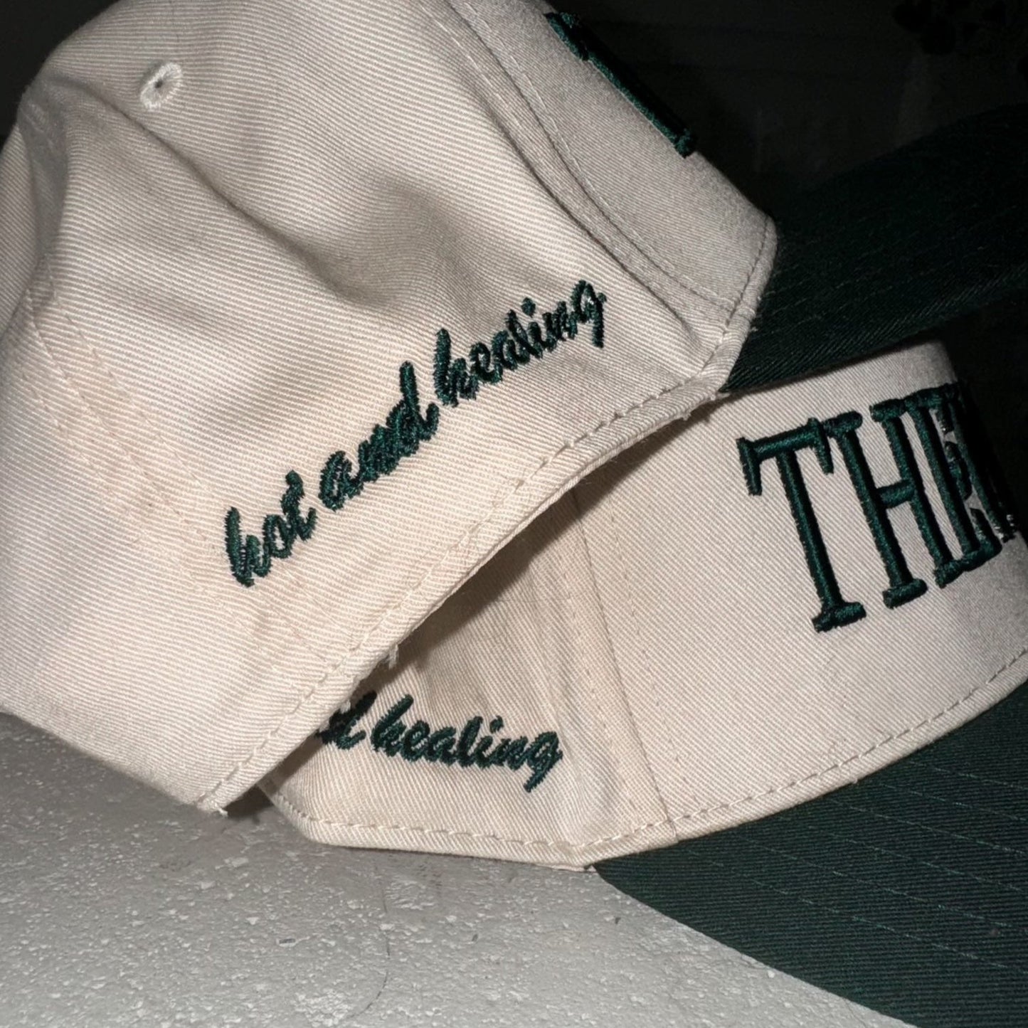 The Well Snapback